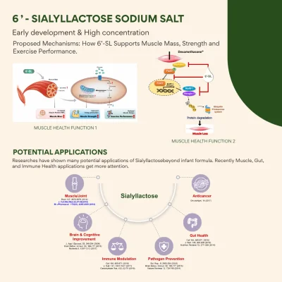 6'-Sialyllactose (6'-SL) sodium salt _ Food additives