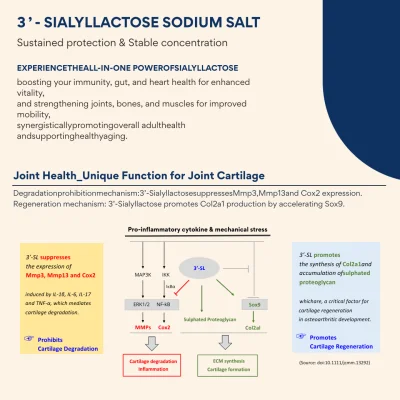 3'-Sialyllactose (3'-SL) sodium salt _ Food additives