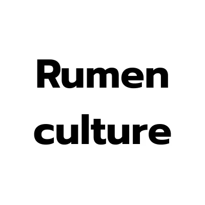 Rumen culture_feed additive