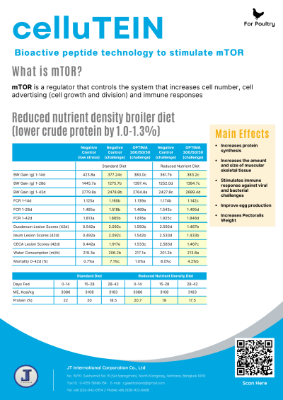celluTEIN
