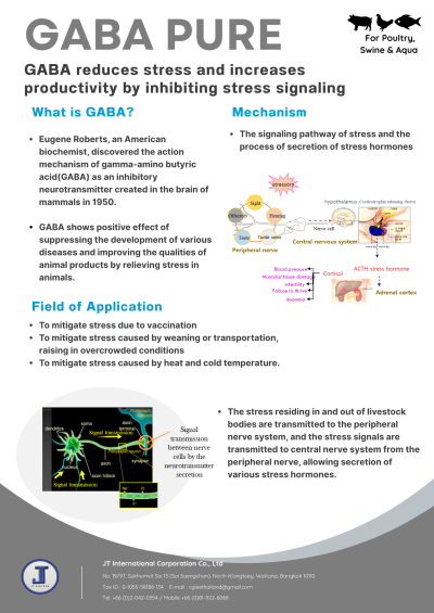 GABA