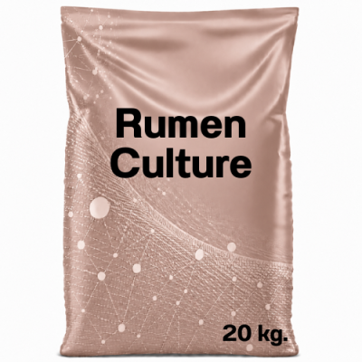 Rumen culture