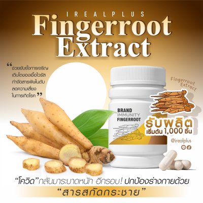 รับผลิต สร้างแบรนด์ อาหารเสริม Fingerroot Extract