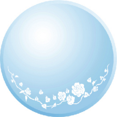 RP200-261 FRAMELESS CIRCULAR MIRROR (60X80CM)