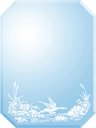 NP000-061 FRAMELESS OCTAGANAL MIRROR (45X60CM)