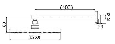 TTSR201CK ฝักบัวก้านแข็ง (ขนาด : ø หัวฝักบัว 250 มม. )