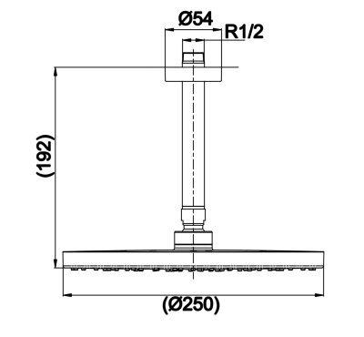 TTSR202CK ฝักบัวแขวนเพดาน (ขนาด : ø หัวฝักบัว 250 มม. )