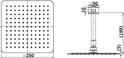 TTSR302CK ฝักบัวแขวนเพดาน (ขนาด : 250 x 250 มม.)