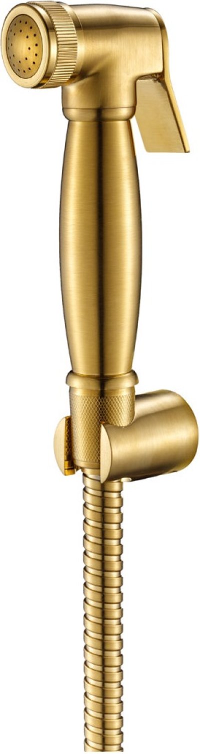 RA 101021-GOLD ชุดสายฉีดชำระพร้อมสายและขอแขวน MATT GOLD