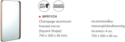 MF011CH กระจกกรอบโลหะ สีแชมเปญ สี่เหลี่ยม 40x70 cm.