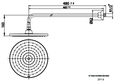 ZF15 ฝักบัวก้านแข็ง ขนาด 10 นิ้ว