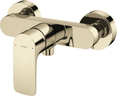 TBG04301T#PFG ก๊อกผสมสำหรับยืนอาบน้ำ ชนิดติดผนัง (ไม่รวมชุดฝักบัวสายอ่อน)