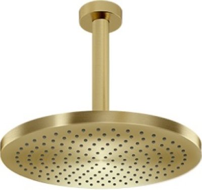 TX491SN#BG ฝักบัวก้านแข็ง (ชนิดแขวนเพดาน)