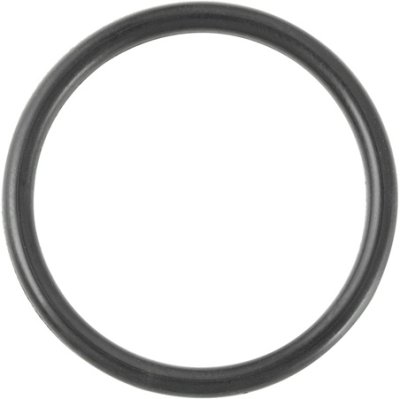 T590113 เเหวนยางล็อดชุดวาล์วควบคุมน้ำเข้า(ฟลัชวาล์วอเมริกันใหม่ทุกรุ่น) F859113-CHACT