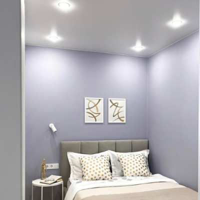 LiTON ดาวน์ไลท์ LED รุ่น ECOLUX ฝังฝ้า หน้ากลม แสงขาว (DAYLIGHT) และ แสงส้ม (WARM WHITE)