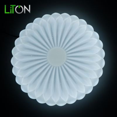LED Ceiling Lamp TRENDY BLOOM DAYLIGHT (แสงขาว)