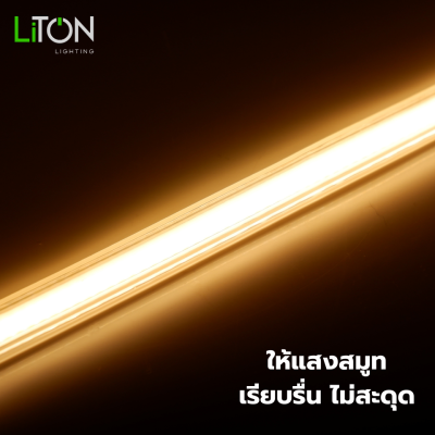 LED Strip 220V COB Ship รุ่น LASSO Daylight (แสงขาว) และ Warmwhite (แสงส้ม)