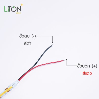 ไฟเส้น LED 12V COB IP20 สีเดี่ยว รุ่น  Radient