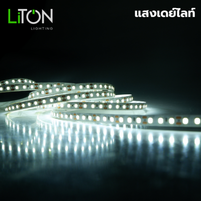 ไฟเส้น LED 12V SMD 2835 IP20  สีเดี่ยว รุ่น Spectrum