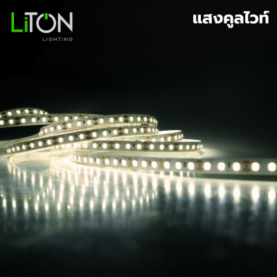 ไฟเส้น LED 12V SMD 2835 IP20  สีเดี่ยว รุ่น Spectrum