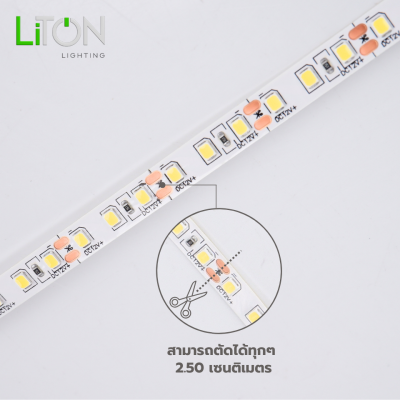 ไฟเส้น LED 12V SMD 2835 IP20  สีเดี่ยว รุ่น Spectrum