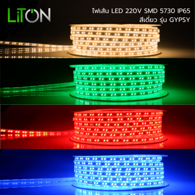 LED Strip LED SMD 5730 รุ่น GYPSY สีเดี่ยว