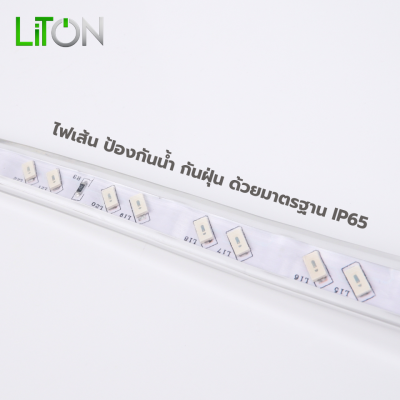 LED Strip LED SMD 5730 รุ่น GYPSY สีเดี่ยว