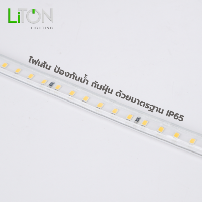 ไฟเส้น LED 220V SMD 2835 IP65  สีเดี่ยว รุ่น MUSE  Daylight (แสงขาว) และ Warmwhite (แสงส้ม)