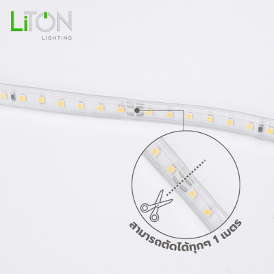 ไฟเส้น LED 220V SMD 2835 IP65  สีเดี่ยว รุ่น MUSE  Daylight (แสงขาว) และ Warmwhite (แสงส้ม)