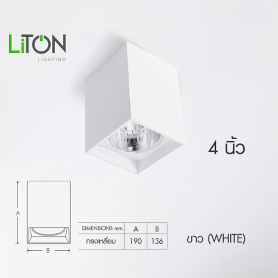 LiTON โคมไฟเปล่าติดลอย รุ่น RETRO ขั้ว E27 ขนาด 4 นิ้ว ทรงกลม/เหลี่ยม