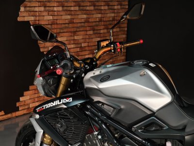 BENELLI TNT 1130 TITANIUM