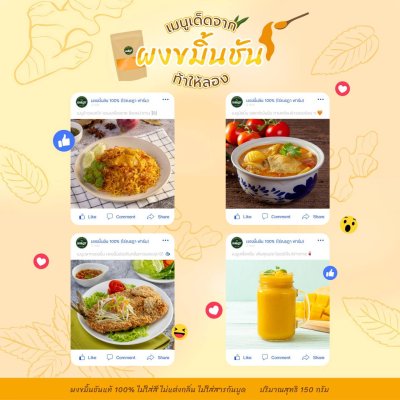 ผงขมิ้นชันออร์แกนิค 100% 100 กรัม