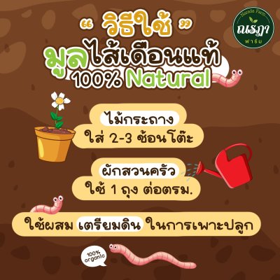 100% Natural Worm Fertilizer 1 kg.