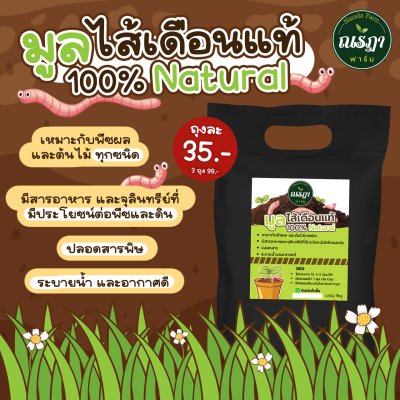 100% Natural Worm Fertilizer 1 kg.