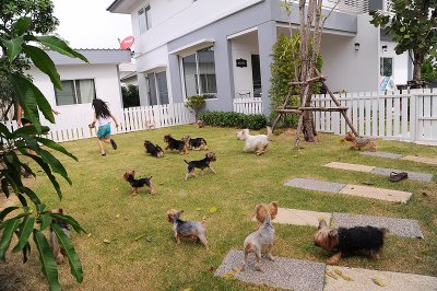 House & Area