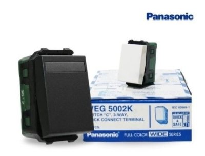 Panasonic