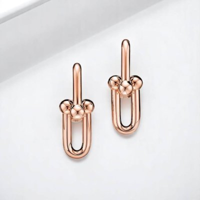 Medium Link Earrings