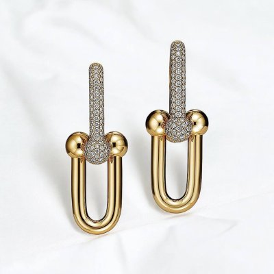 Large Link Earrings