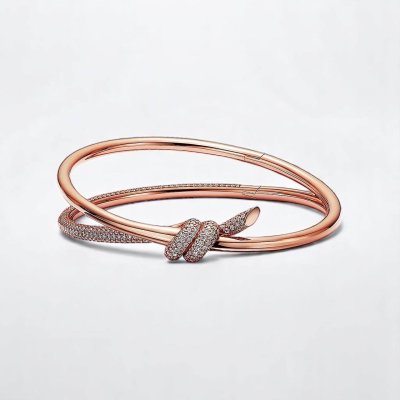 Double Row Hinged Bangle