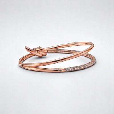Double Row Hinged Bangle
