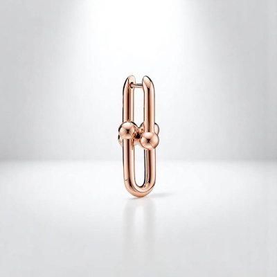 Medium Link Earrings