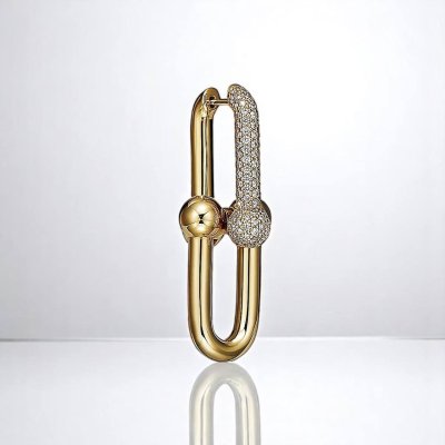 Large Link Earrings