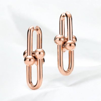Extra Large Link Earrings