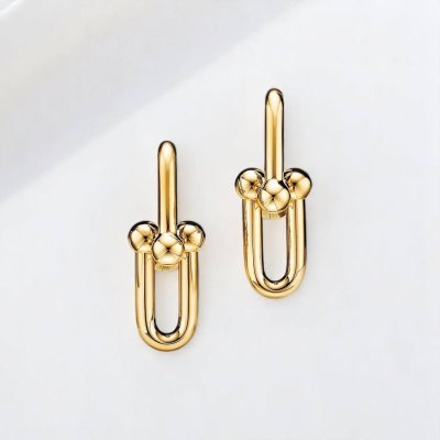 Medium Link Earrings