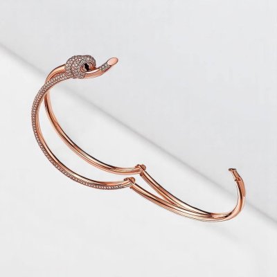 Double Row Hinged Bangle
