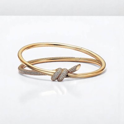 Double Row Hinged Bangle