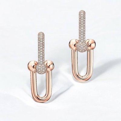 Large Link Earrings