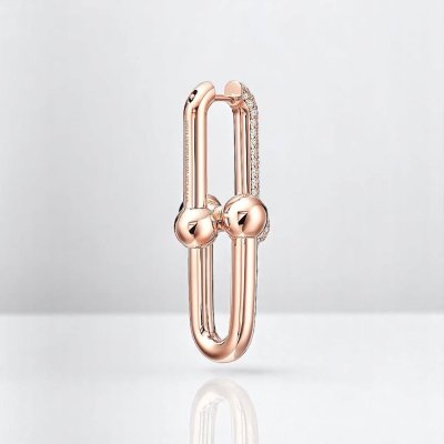 Large Link Earrings