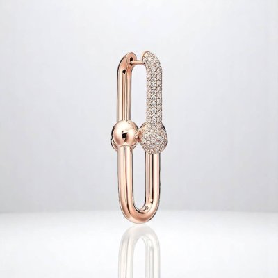 Large Link Earrings