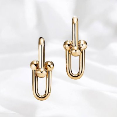Large Link Earrings